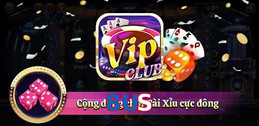 8US
